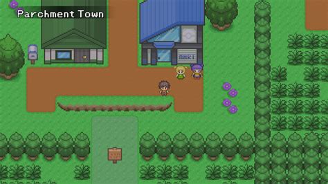 pokemmo co-op|PokeMMO.